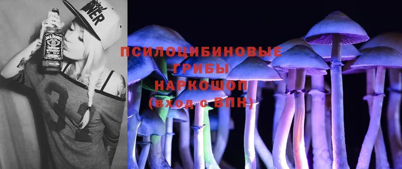 Псилоцибиновые грибы MAGIC MUSHROOMS  купить наркотики цена  мега зеркало  Нефтекамск 